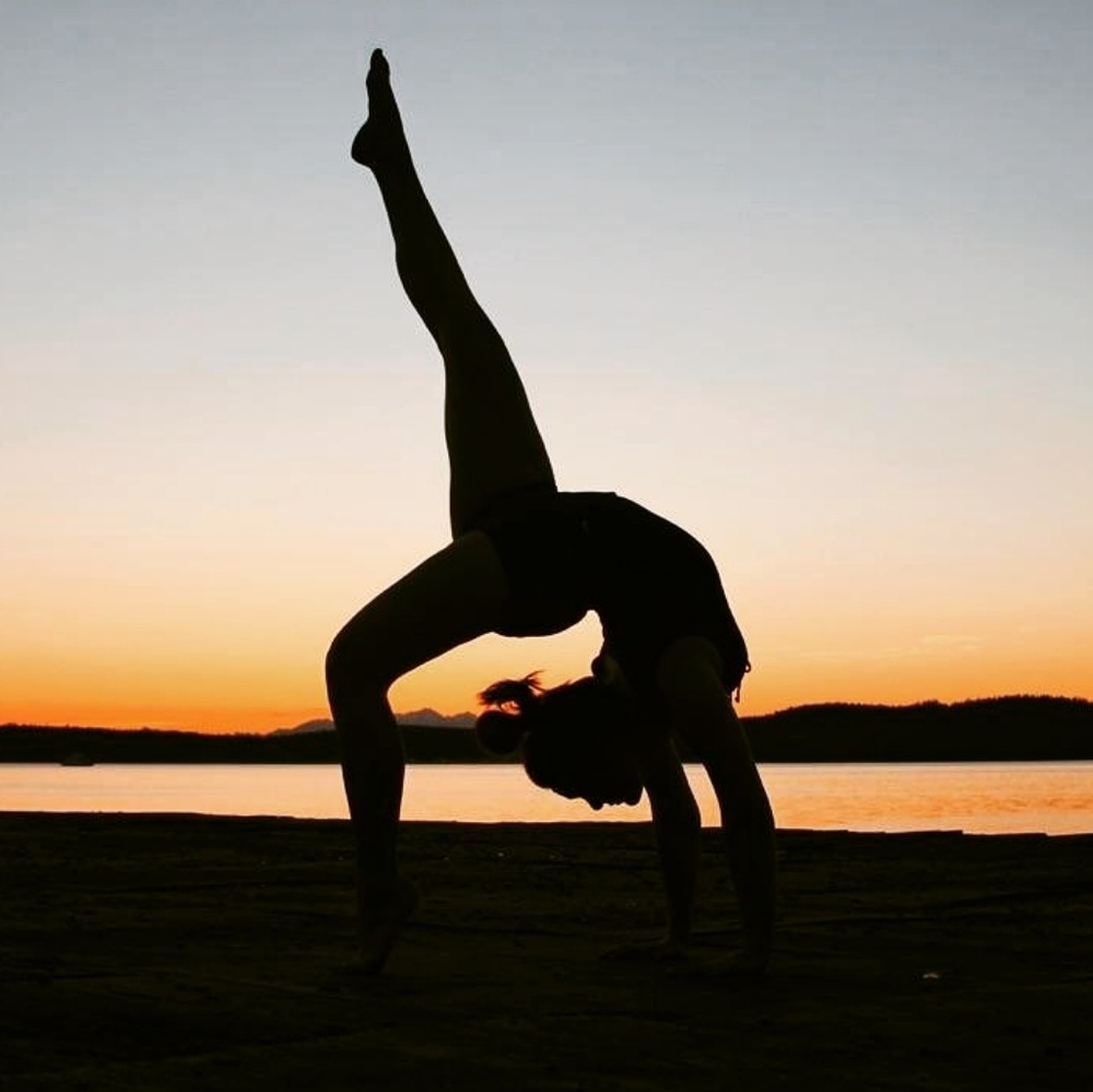 Meet your Posher, Riley - Picture 4 of 7